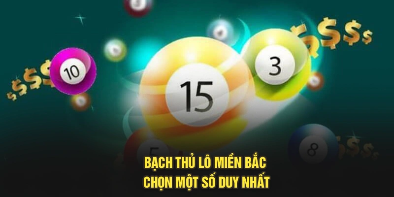 Bạch thủ lô miền Bắc chọn một số duy nhất