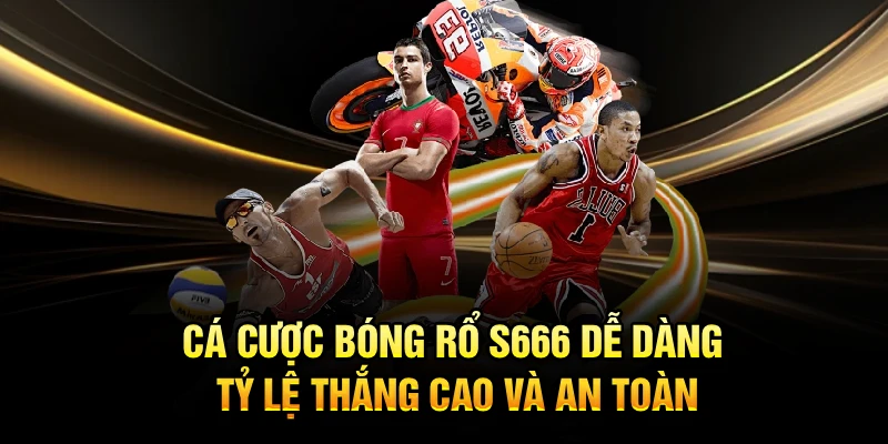 Cá Cược Bóng Rổ S666 Dễ Dàng, Tỷ Lệ Thắng Cao Và An Toàn