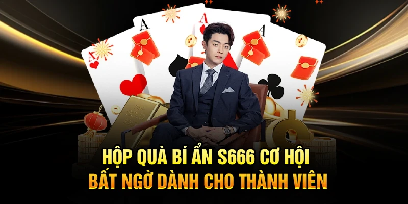 Hộp Quà Bí Ẩn S666 Cơ Hội Bất Ngờ Dành Cho Thành Viên