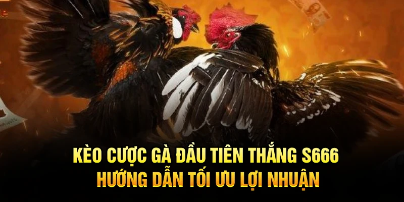 Kèo Cược Gà Đầu Tiên Thắng S666 Hướng Dẫn Tối Ưu Lợi Nhuận
