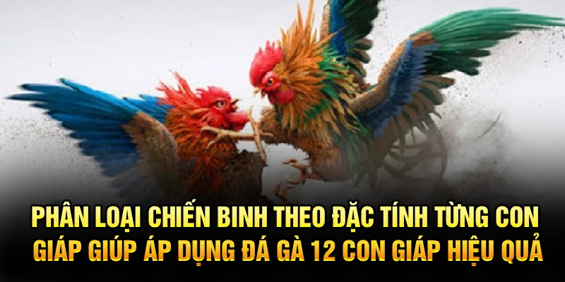 Phân loại chiến binh theo đặc tính từng con giáp giúp áp dụng đá gà 12 con giáp hiệu quả
