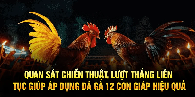 Quan sát chiến thuật, lượt thắng liên tục giúp áp dụng đá gà 12 con giáp hiệu quả