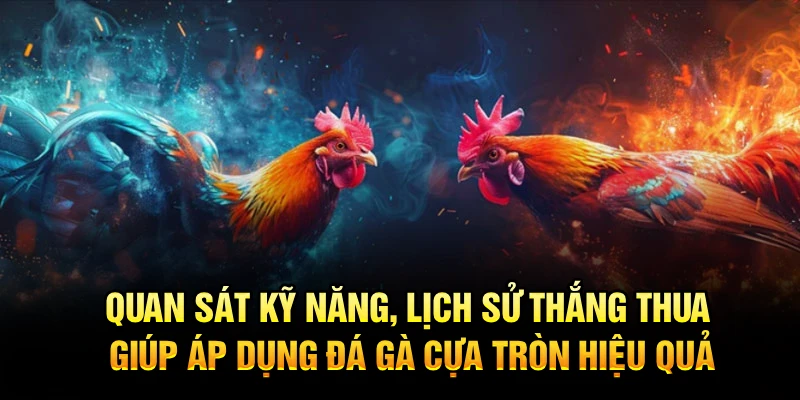 Quan sát kỹ năng, lịch sử thắng thua giúp áp dụng đá gà cựa tròn hiệu quả