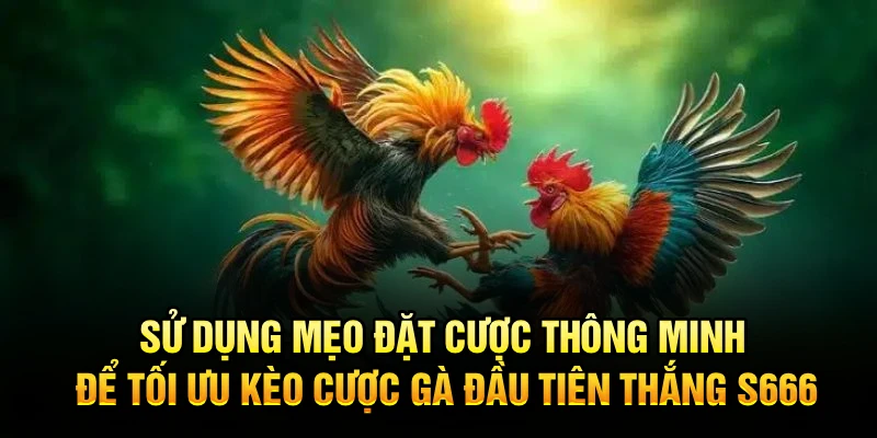 Sử dụng mẹo đặt cược thông minh để tối ưu kèo cược gà đầu tiên thắng S666