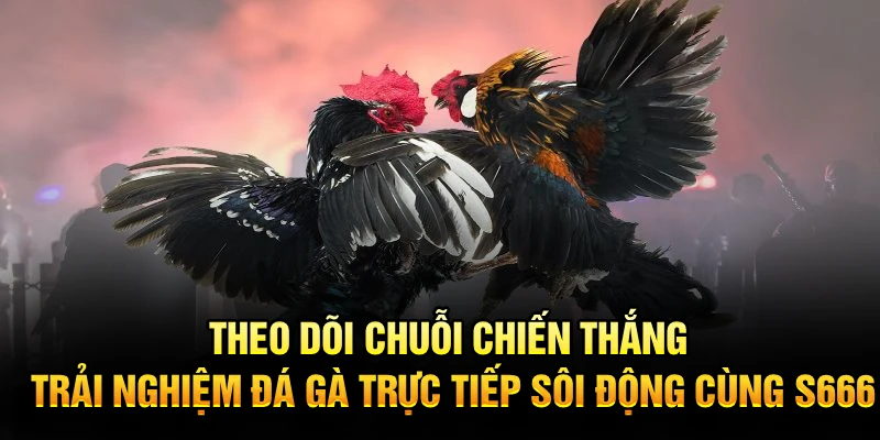 Theo dõi chuỗi chiến thắng, trải nghiệm trực tiếp đá gà sôi động cùng S666