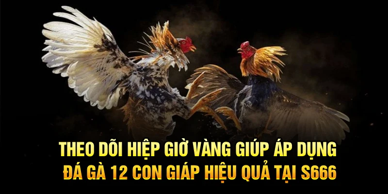 Theo dõi hiệp giờ vàng giúp áp dụng đá gà 12 con giáp hiệu quả tại S666