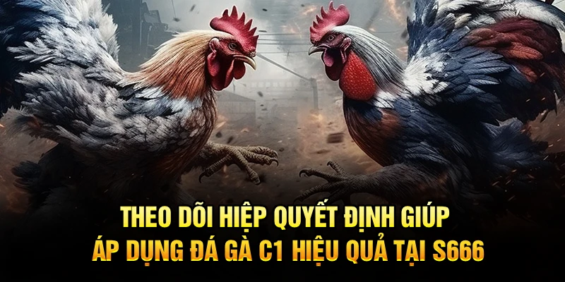 Theo dõi hiệp quyết định giúp áp dụng đá gà C1 hiệu quả tại S666